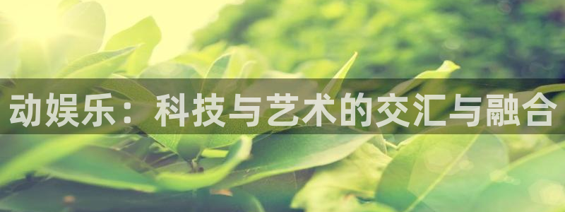 今年会：动娱乐：科技与艺术的交汇与融合